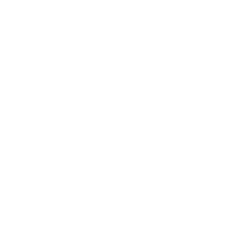 Consultation Icon